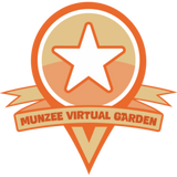 Places Munzees