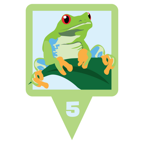 Frog Evolution Credit