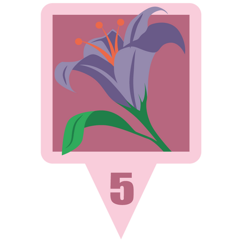 Lily Evolution Munzee Credit