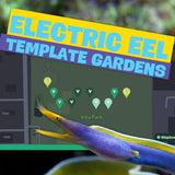 Electric Eel Garden Pak