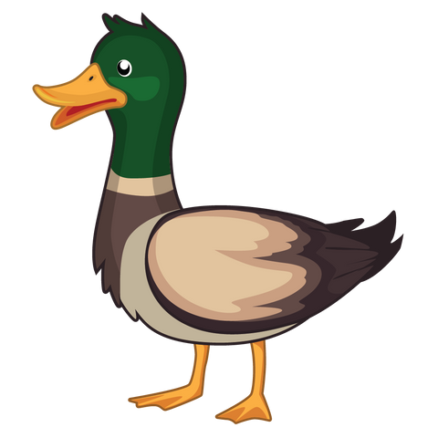 Duck Evolution